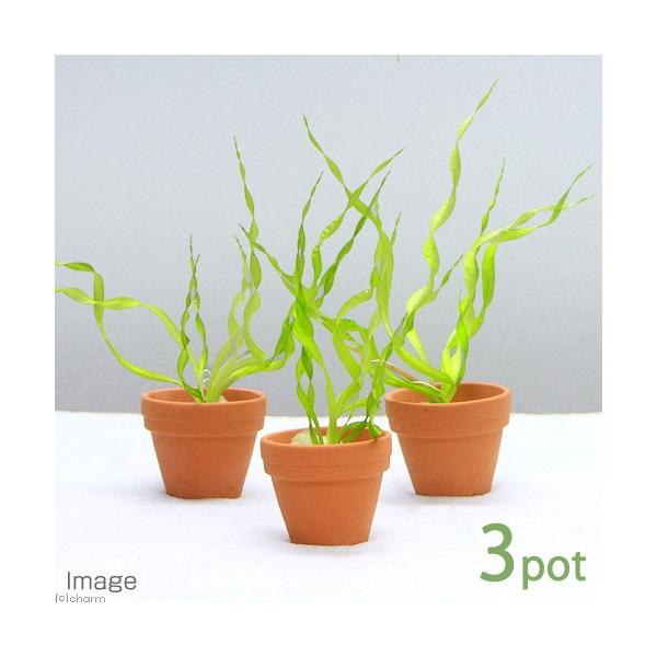 ijv`fĂ@GLmhX@xXrEXitji_jiRj