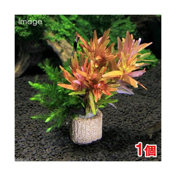 ijCt}`ijXtԌnLs@NX}XJ[itjiPj