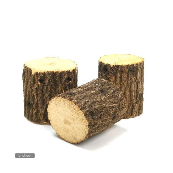 NkMY؁@ځ@ށ@P{@@NK^p