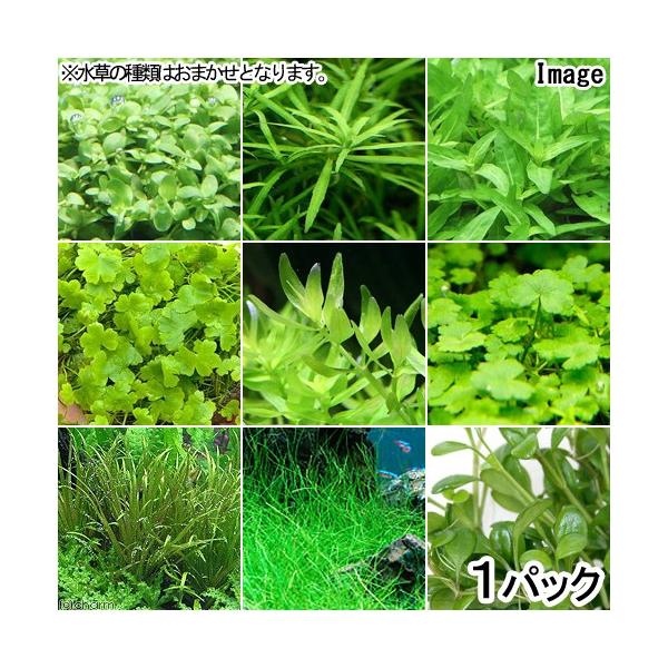 ij܂Oi@TZbgitji_jiPpbNj