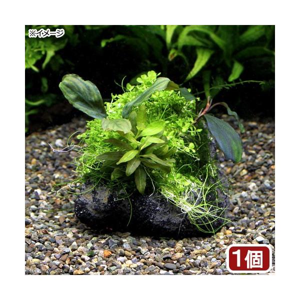 ijā@̐i@n΁@uDuZt@hiPj@kCEBq֗vۉ