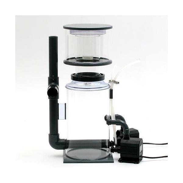 AEgbgi@TOg@gr@veCXL}[@gr|PTOO@TOgi{pj@󂠂