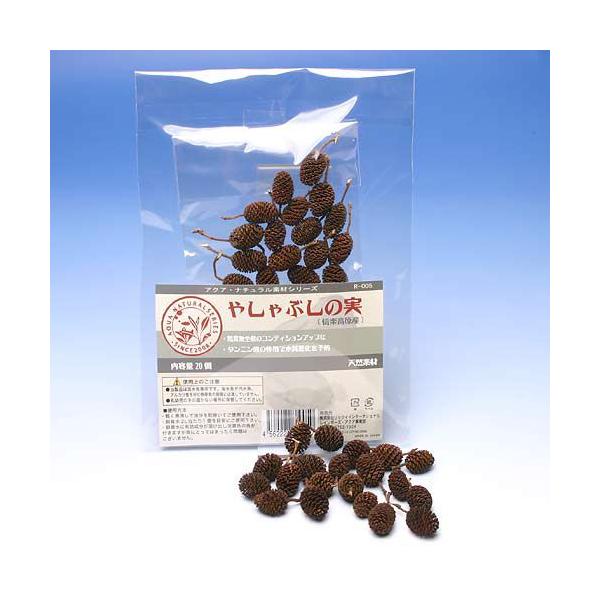 ₵Ԃ̎@QO@P܁@x^@AsXg@r[Vv@