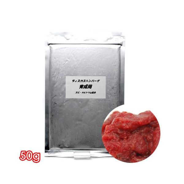 Ⓚ琬p@TO@fBXJXno[O@ʓrN[萔@퉷is