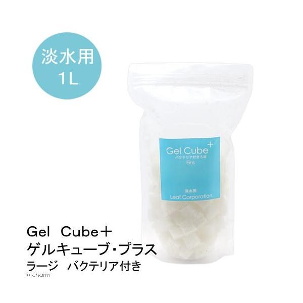 iMыjf@b{iQL[uEvXj@oNeAt@[W@Pbg@kCEBq֗vۉ