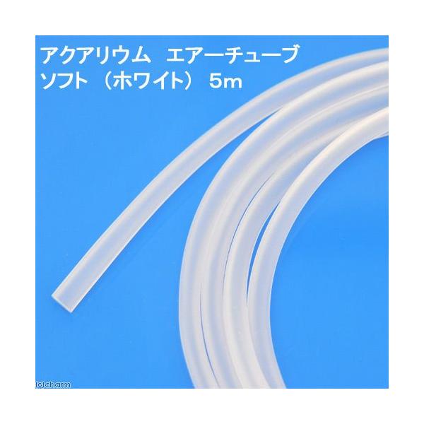 Xh[@ANAE@GA[`[u@\tg@izCgj@T