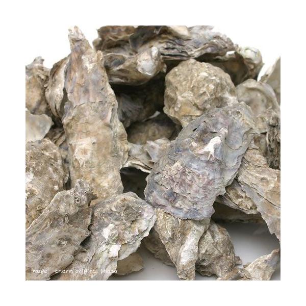 メーカー：(株)リーフ Leaf Corp kakigara　アクアリウム用品　naisyoku_syukei　hwlist　金魚飼育用　活性炭アンモニア　器具　ろ材　ウールマット　活性炭／吸着ろ材　金魚用カキガラ　CNH　_aqua　op...