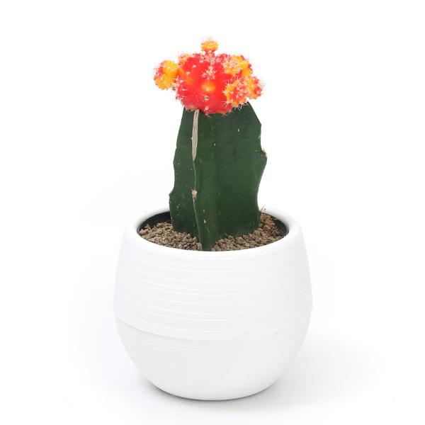 iAjT{e@q{^iꉲOj@oCJ[n@QDTiP|bgj