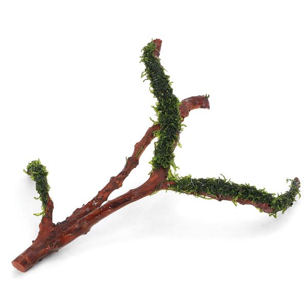 熱帯魚　活着する水草（コケの仲間）　エビに合う水草　前景　中景　置くだけ簡単　石小粒　水草　コケ（モス類）　フジウロコゴケ　スパーテンモス　ウロコゴケ　モス　ウロコゴケ科　フジウロコゴケ属　溶岩石　小粒　小さめ　苔　コケ　こけ　枝状　流木　...