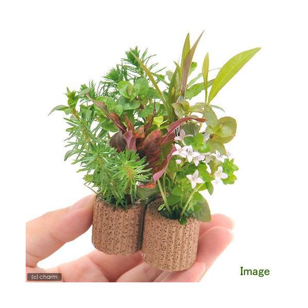 ijCt}`ijf^@܂񂹐A~bNXitji_jiPj