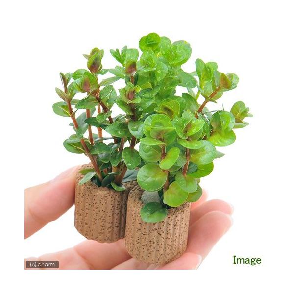 ijCt}`ijf^@^~bNXitji_jiPj