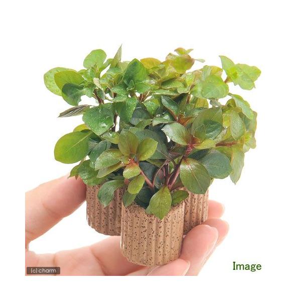 ijCt}`ijf^@hEBWA~bNXitji_jiPj