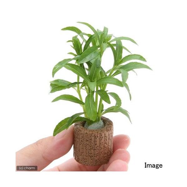 ijCt}`ijnCOtB@oT~Jitji_jiPj