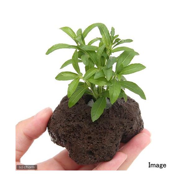 ijnCOtB@oT~JitjnΕti_jiPj