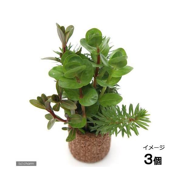 ijCt}`ij^~bNXitji_jiRj