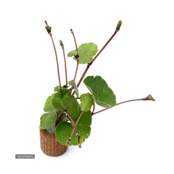 ijCt}`ijA}]`hOTitji_jiRj