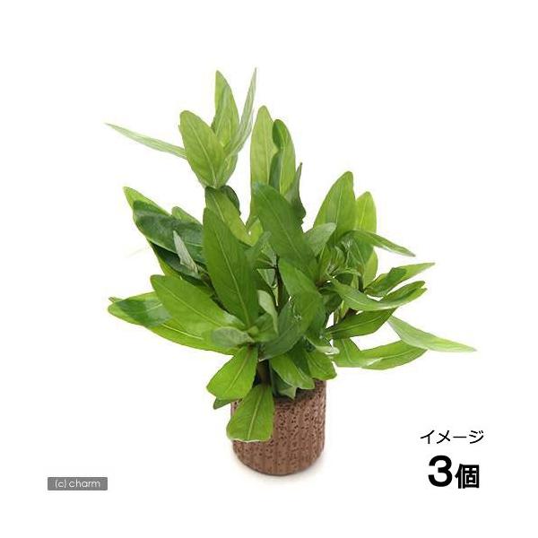 ijCt}`ijnCOtB@|Xy}itji_jiRj