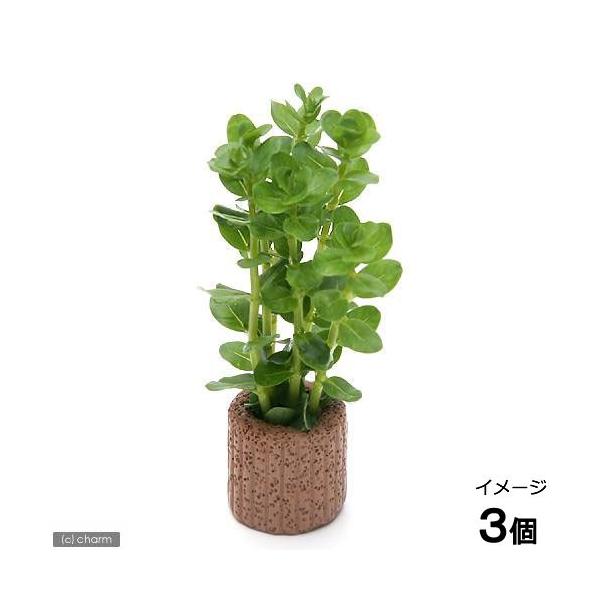 ijCt}`ijO[^itji_jiRj