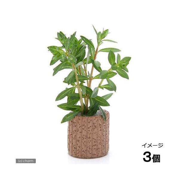 ijCt}`ijj[h[t@hEBWAitji_jiRj