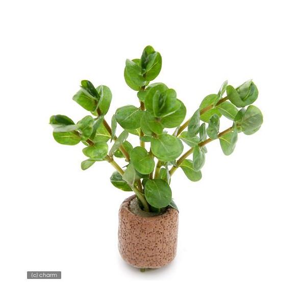 ijCt}`ij^@gfBtHAitji_jiRj