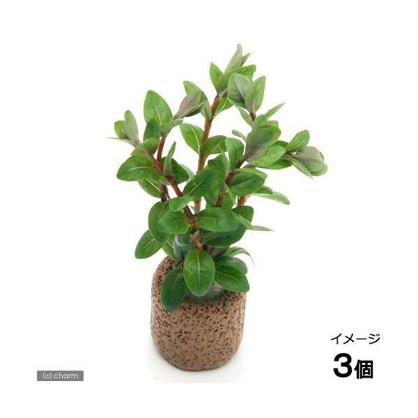 ijCt}`ij^DAi~Jitji_jiRj