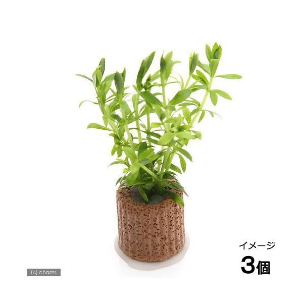 ijCt}`ijxgiS}mnOTitji_jiRj