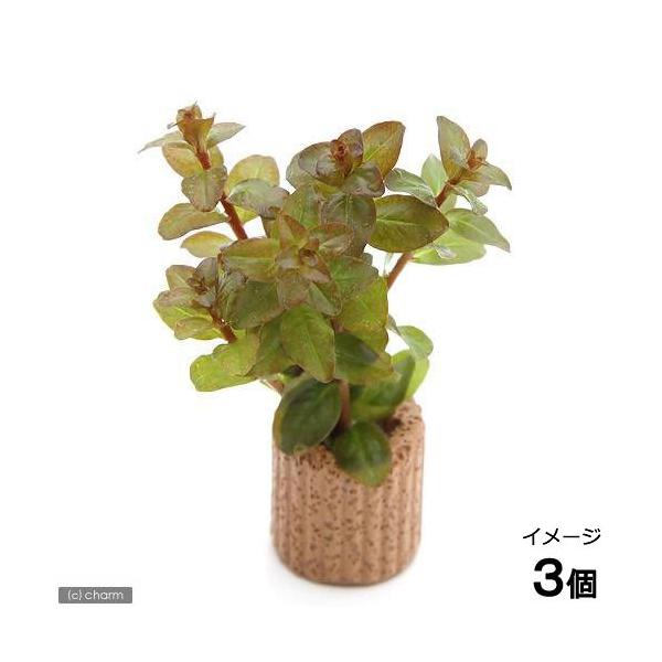 ijCt}`ijhEBWA@ZlKVXitji_jiRj