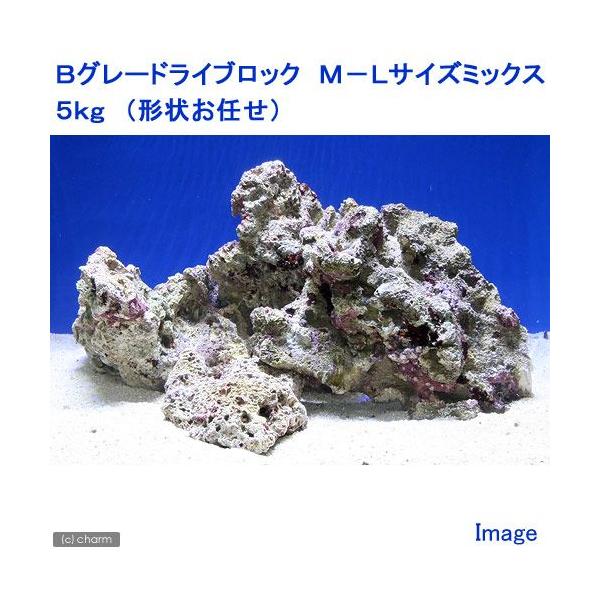 iCjaO[hCubN@l|kTCY~bNXiTji`󂨔Cj@kCEBq֗vۉ