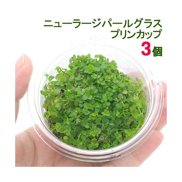 ijj[[Wp[OXitjvJbvi_jiRj@kCEBq֗vۉ