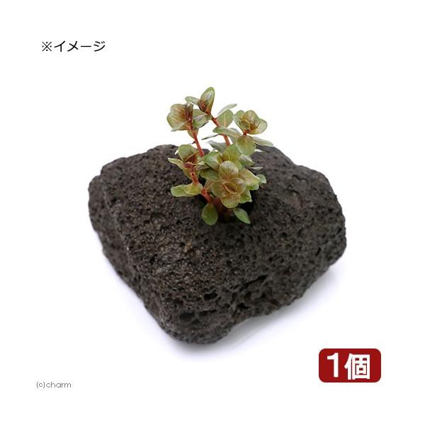 ij^@gfBtHA@xgi@gfitjnΕti_jiPj