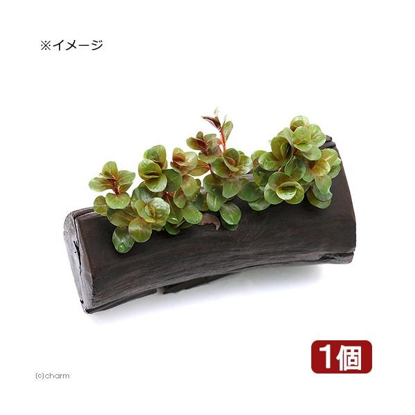 ij^@gfBtHA@xgi@gfitjؕt@rTCYiPTji_jiP{j