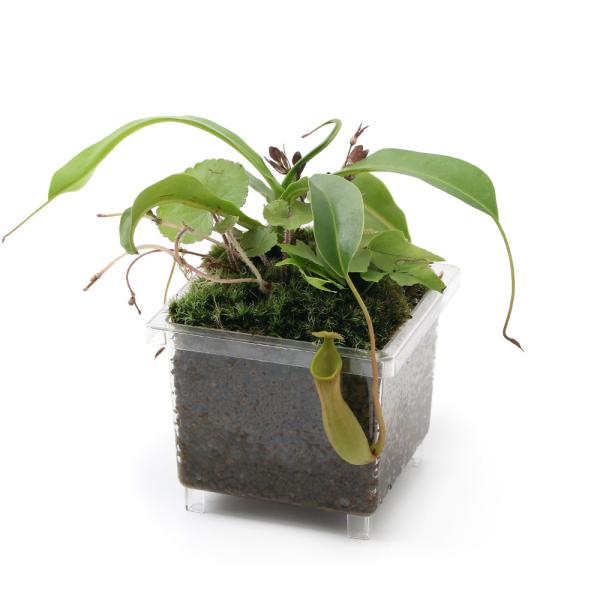 ieEjroEp@̂@uDEc{JYiPj