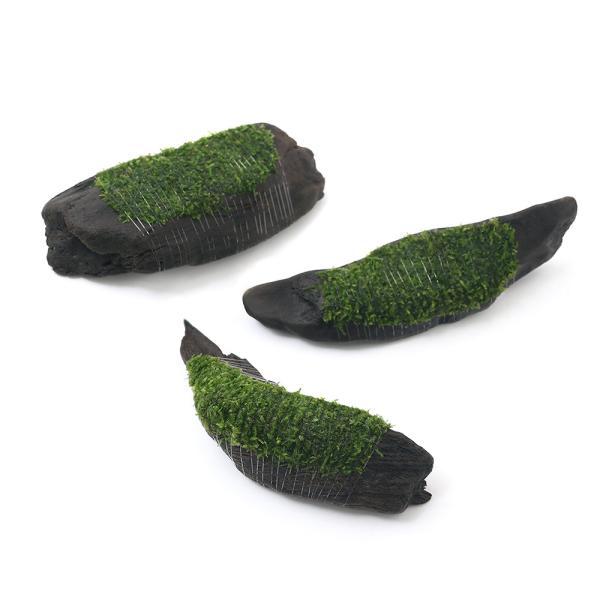 ijā@EB[XDi[@؁@rTCYiPTjitji_jiP{j