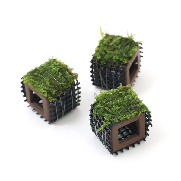 ijā@tGr̉BƁ@ăEB[Xitji_jiRj