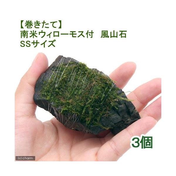 ijā@ăEB[X@R΁@rrTCYiWȉjitji_jiRj