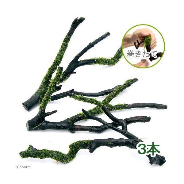 ijā@EB[X@}󗬖؁@lTCYiQO`jitji_jiR{j