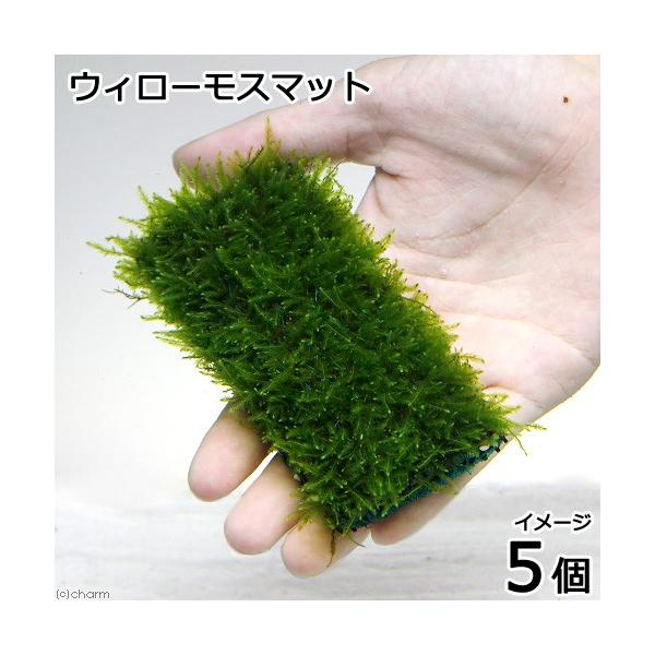 ij琬ρ@EB[X@}bgiTj@PO×T@Y_@Oi@u@^@ANAE@