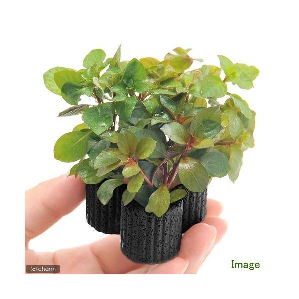 ij}`OubNijf^@hEBWA~bNXitji_jiPj