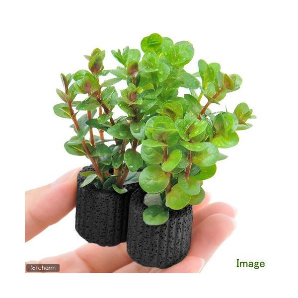 ij}`OubNijf^@^~bNXitji_jiPj