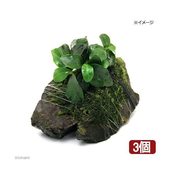 ijAkrAXii@v`EB[X@R΂rTCYiPOOjiRj