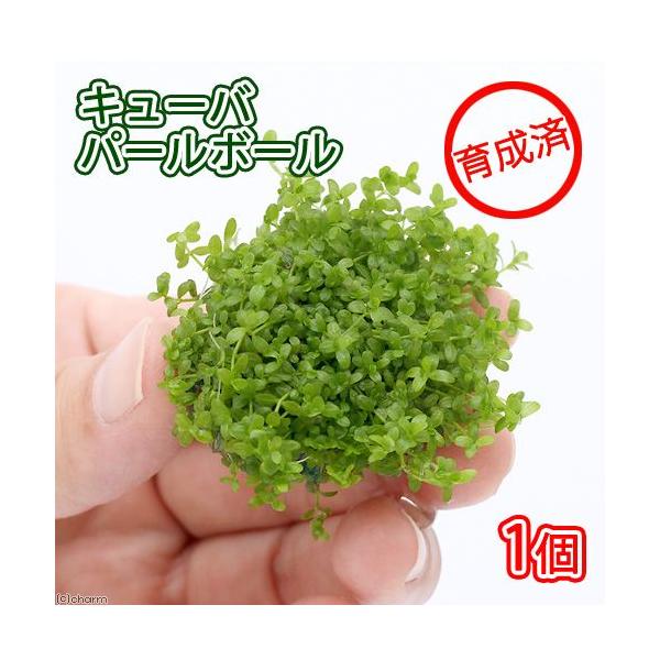 ij琬ρ@L[op[{[itji_jiPj