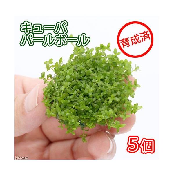 ij琬ρ@L[op[{[itji_jiTj