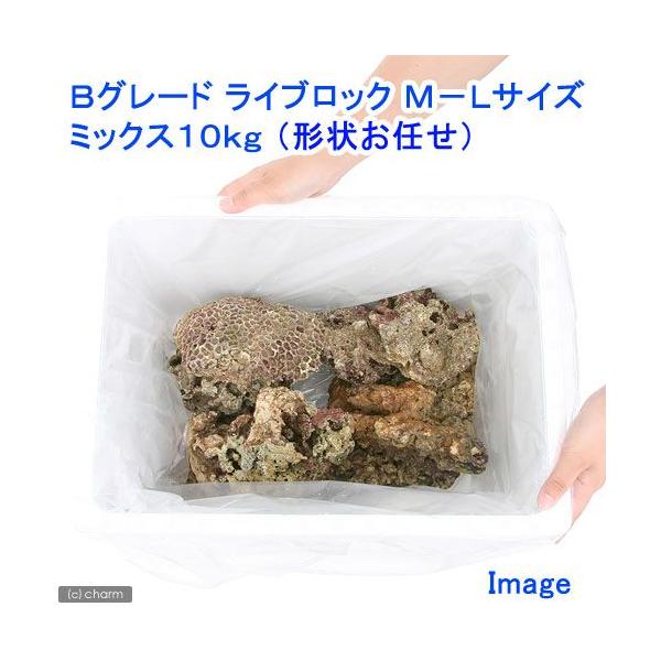 ライブロック　10kg 楽天市場】ライブロック10kgの通販