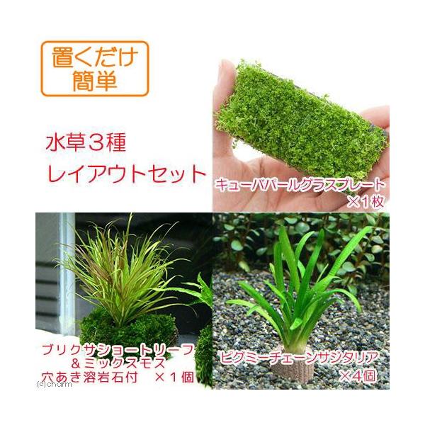 ijuȒP@R탌CAEgZbgitji_j