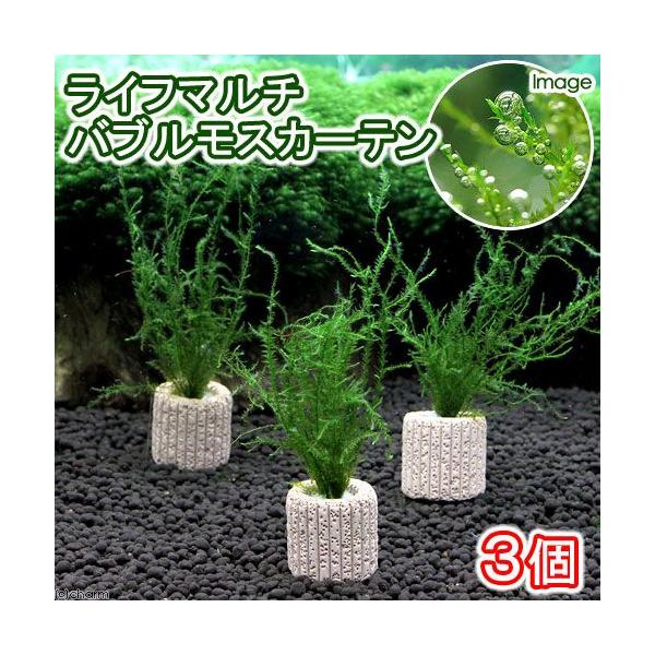 ijCt}`ijouXJ[eitji_jiRj