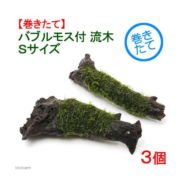 ijā@ouX@؁@rTCYiPTjitji_jiR{j