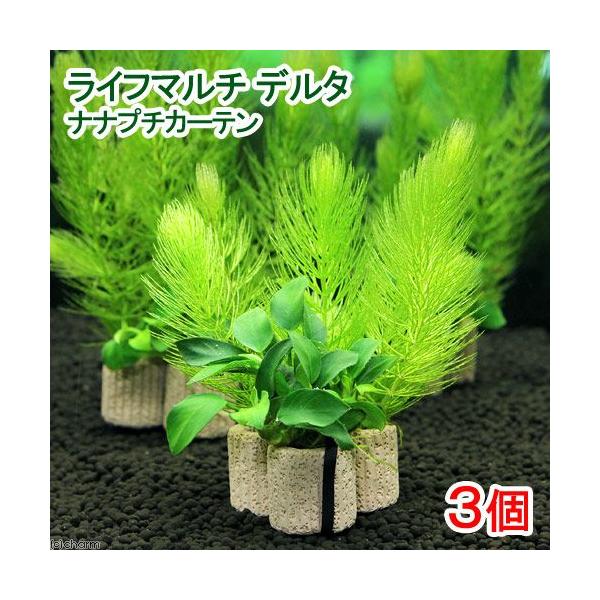 ijCt}`ijf^@iiv`J[eitjiRj