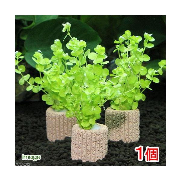 ijCt}`ij[Wp[J[eitji_jiPj