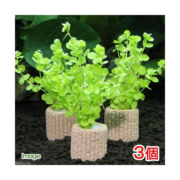 ijCt}`ij[Wp[J[eitji_jiRj