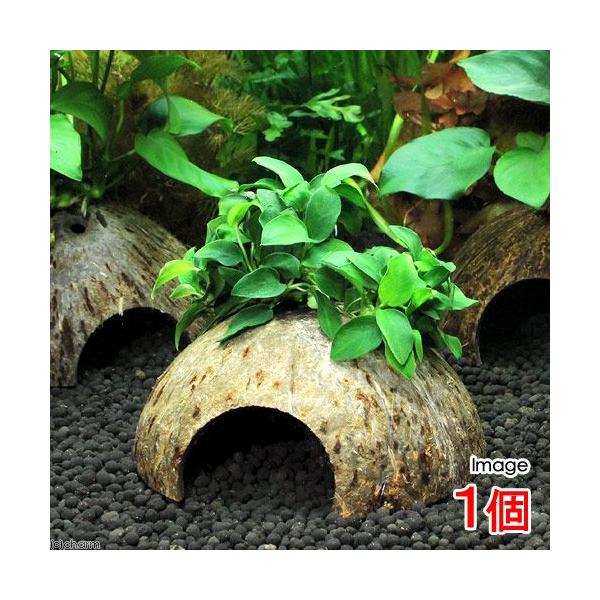 ijRRibcVF^[@AkrAXii@v`itjiPj